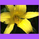 Find The Visitor.jpg